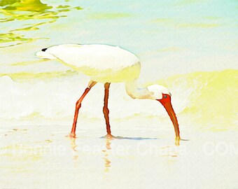 Giclee Print Bird On The Beach Florida Texas Coastal Limited Edition Wall Art