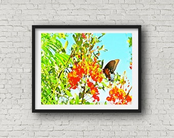 Mexican Bird Of Paradise with Monarch Butterfly Texas Art Wall Art Giclee Print