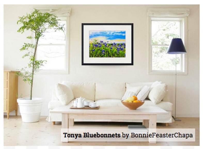 Tonya's Sunset Bluebonnets Texas Hill Country Blue Bonnet Blue State Wildflower Flower Texas Wall Art Giclee Print image 6