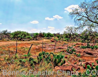 Texas Landscape Cactus Barbed Wire Fence Rattle Rock Road Wall Art Giclee Print