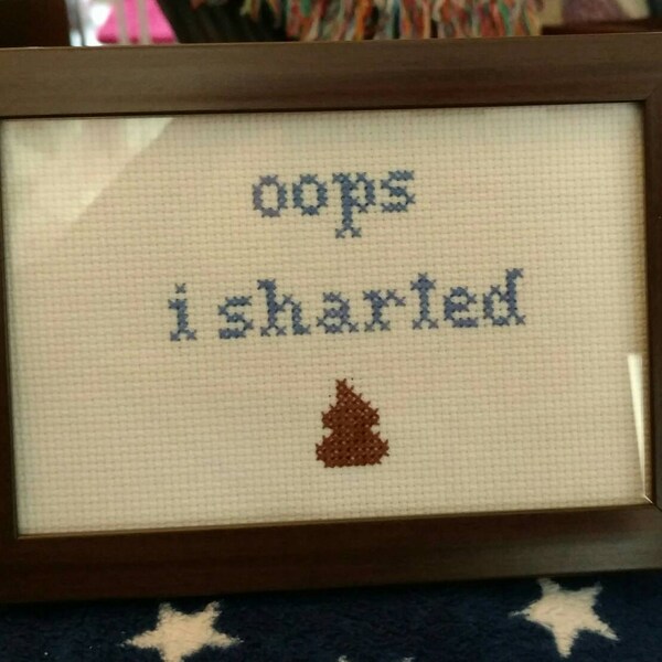 Oops I Sharted Cross Stitch Framed!  Decorate your place with very inappropriate fun!