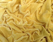 AMBER WAVES - New Velvet Color
