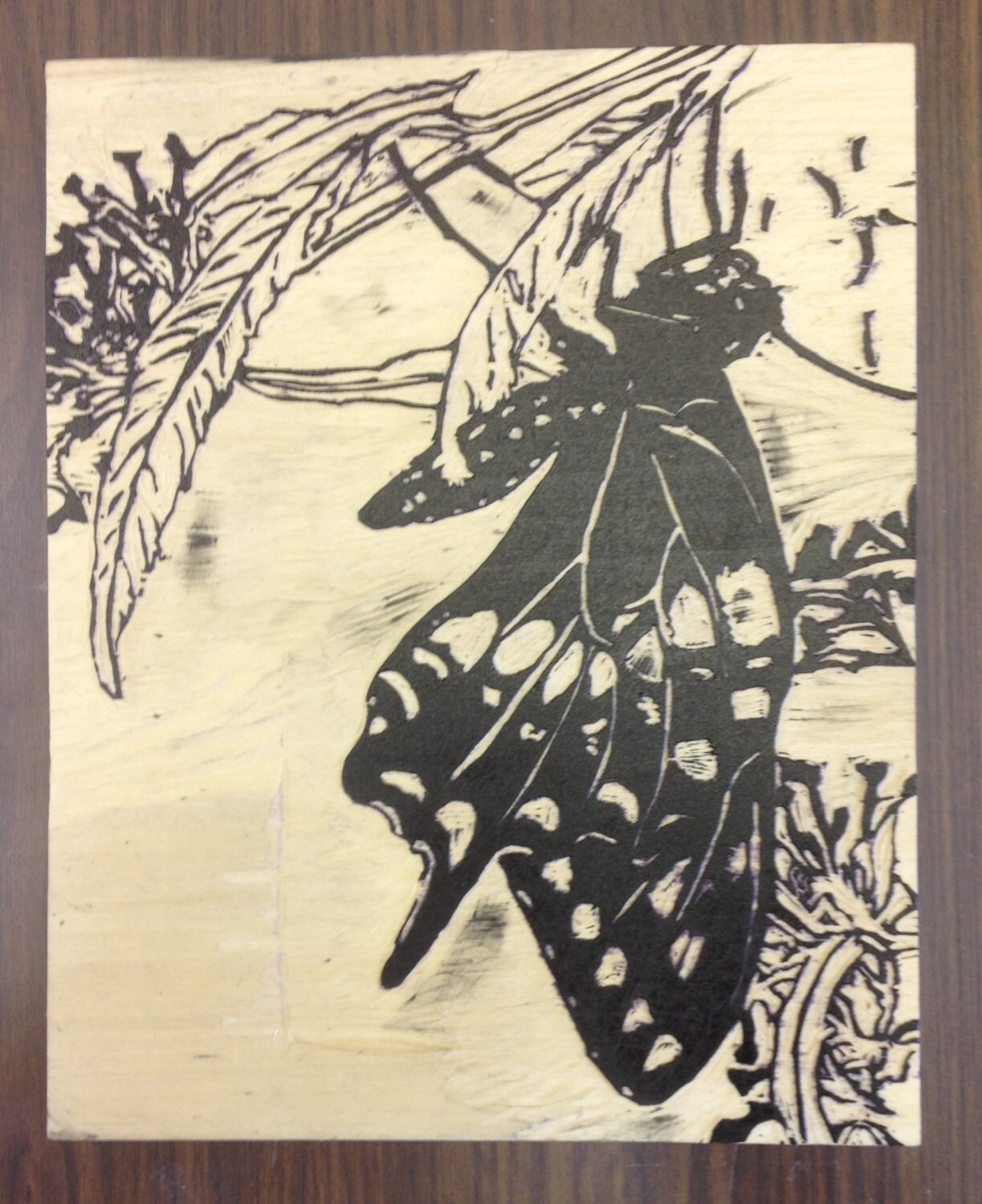 Black Swallowtail - Etsy