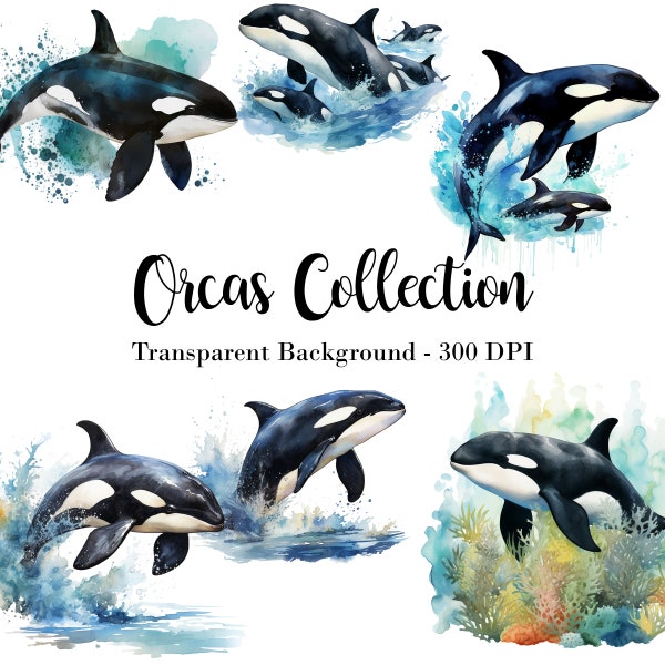 Vintage Orca Watercolor Clipart Bundle - Instant Download for Crafts & Designs. Beautifully Painted Killer Whale Images