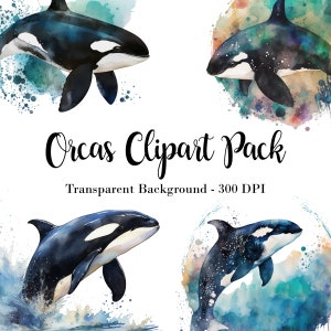 Orca Whale Clipart Pack - Nautical Orca Killer Whale Clip Pack 14 Images - Killer Whale PNG Images