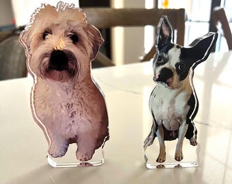 Custom Pet acrylics