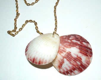 Natural Seashell Necklace