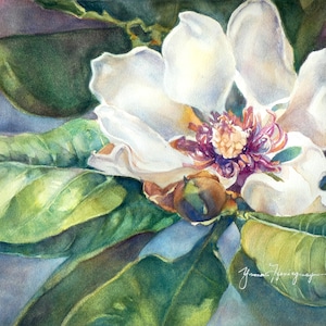 White Magnolia-Original Watercolor Painting-Single White Magnolia with Green and Blue Backround-Flower Wall Art for Flower Lovers