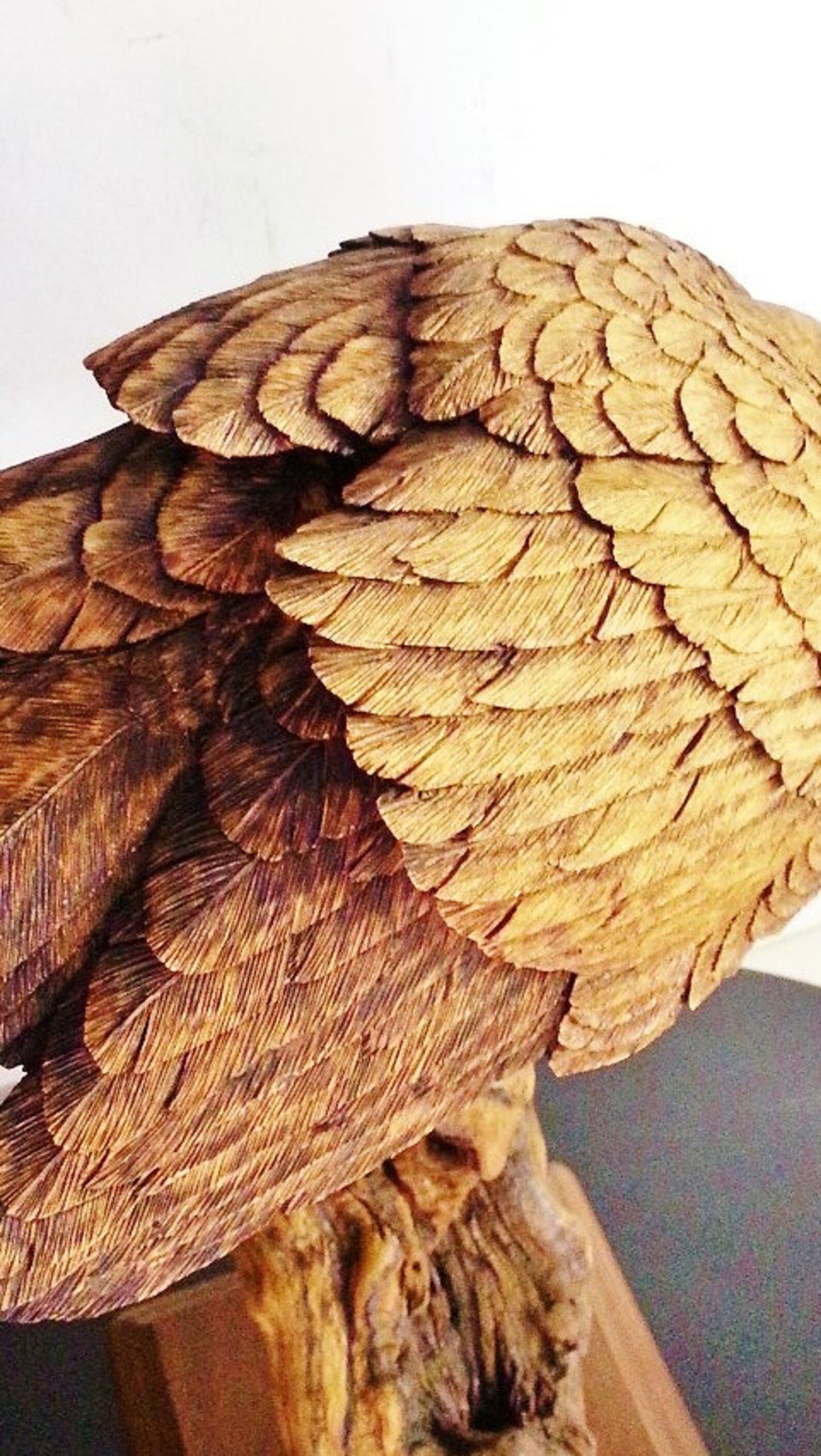 Barn Owl Wood Carving Spying | Etsy