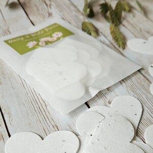 Corazones de papel con semillas biodegradables Margarita y Hierba Silvestre x20
