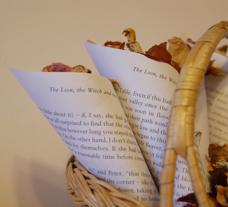 12 x Chronicles of Narnia Confetti Book Cones Wedding Rustic image 0