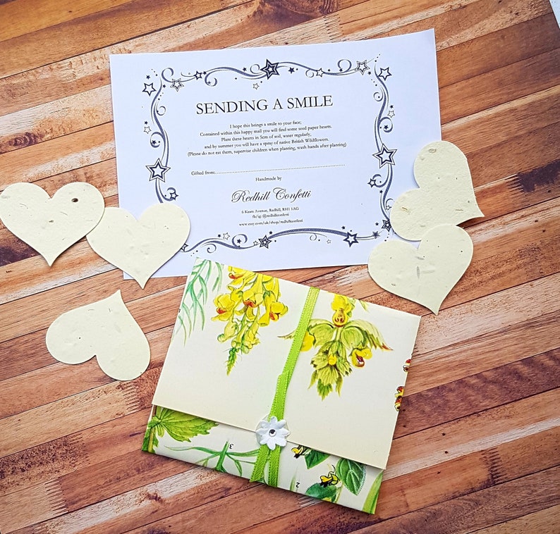 Postal Gift Sending A Smile Plantable Wildflower Seeds image 0