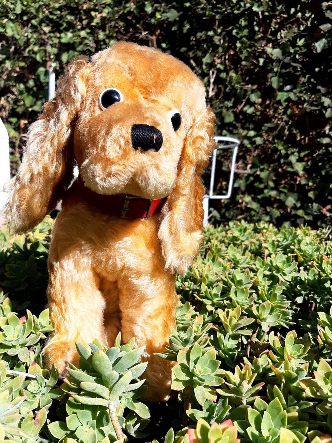 Steiff' Foxy ' Fox Terrier - Mohair Souple Jouet de Collection Chiot