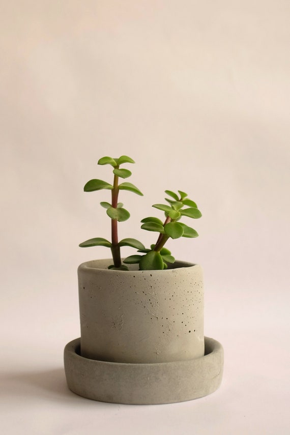 Concrete Colour Plant Pots Grey - Etsy UK