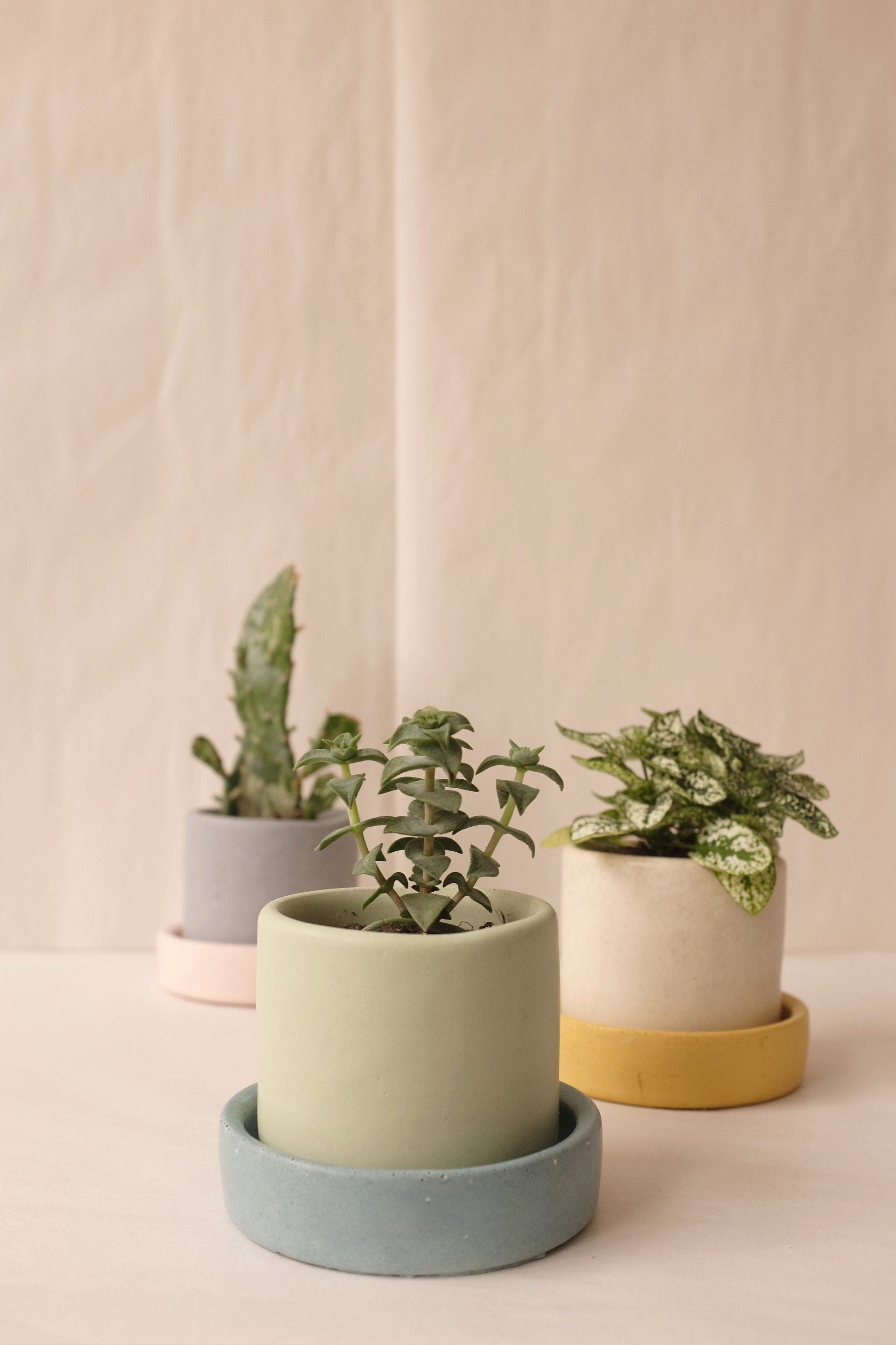 Concrete Plant Pot Saucers Etsy