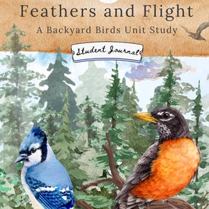 May include: A student journal titled "Feathers and Flight" with a watercolor illustration of a blue jay and a robin perched on branches. The background features a forest scene with tall evergreen trees.