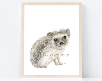 Hedgehog Art Hedgehog Painting Hedgehog Print. Vivero de erizos Acuarela Bebé Erizo Pared Arte Bosque Animal Bosque Animal Pared Arte.
