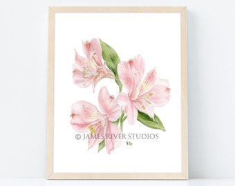 Lily Art Print Lily Painting Lily Print Lily Watercolor Painting Pink Lily Art Print Pink Lilies Painting Lilies Print Lily Wall Art Lilies.