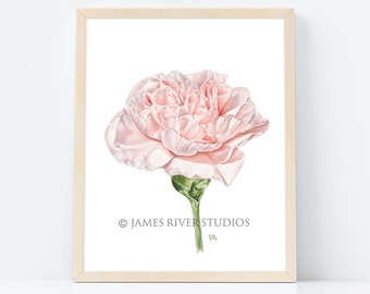 Pink Floral Carnation Print Pink Flower Painting, Modern Flower Art Pink Botanical Print, Pink Floral Wall Art Decor Flower Decor Carnation