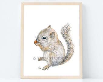 Squirrel Art Squirrel Painting Squirrel Print. Squirrel Watercolor Painting Squirrel Nursery Art Baby Squirrel Woodland Animal Forest Animal