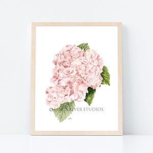 Hydrangea Painting Hydrangea Print Hydrangea Art Hydrangea Watercolor Hydrangea Wall Art Hydrangea Decor Pink Hydrangea Pink Hydrangea Art.