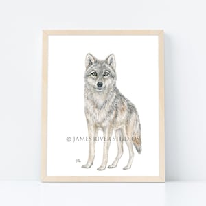 Wolf Art Wolf Print Wolf Painting Wolf Watercolor Wolf Wall Art Wolf Decor Wolf Wall Decor Wolf Wall Hanging Gray Wolf Poster Wolf Art Print