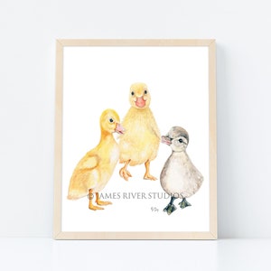 May include: A watercolor painting of three ducklings. Two of the ducklings are yellow and one is gray. The ducklings are all looking at the viewer. The painting is signed "J.R. Studios" in the bottom right corner.