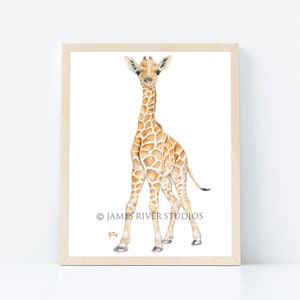 Giraffe Watercolor Print Giraffe Baby Watercolor Giraffe Art Baby Giraffe Nursery Art Boys Room Wall Art Girl Room Large Poster Large Print