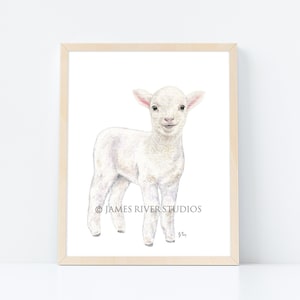 Lamb Art Lamb Painting Lamb Print. Lamb Watercolor Painting Animal Watercolor Barn Animal Farm Sheep Art Print Baby Sheep Baby Lamb Nursery.