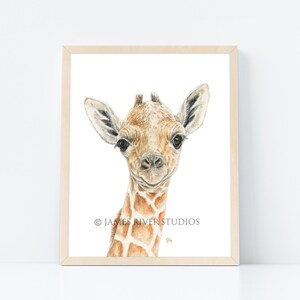 Pu&ograve; includere: Un dipinto ad acquerello di una giraffa neonata con un manto a motivi marroni chiari e beige. La girafa guarda direttamente lo spettatore con un'espressione dolce. Il dipinto &egrave; incorniciato in una cornice di legno chiaro.