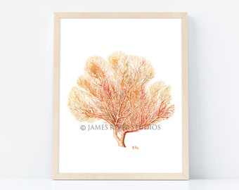 Sea Coral Art Sea Coral Painting Coral Print. Sea Coral Watercolor Painting Ocean Art Ocean Decor Ocean Painting Beach Decor Sea Art Print.
