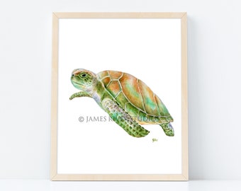 Sea Turtle Painting Sea Turtle Watercolor Sea Turtle Print. Beach Home Wall Art Beach Wall Decor Ocean Decor Coastal Decor Coastal Wall Art.