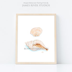 Shells Art Seashells Art Seashells Painting Seashells Print. Seashells Watercolor Painting Ocean Art Ocean Decor Coastal Art Beach Art Print