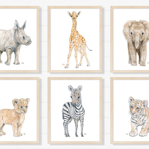 Baby Animal Framed Art Framed Nursery Prints Safari Etsy