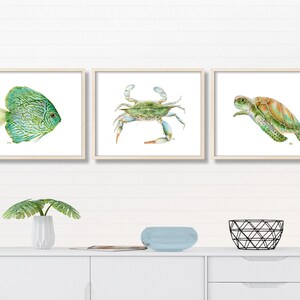 May include: Three framed watercolor paintings of sea life. The first painting features a green and blue fish. The second painting features a blue crab. The third painting features a green sea turtle.