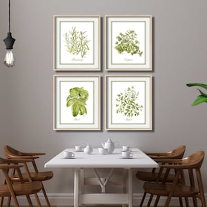 Herb Art Herb Prints Herb Paintings Herb Watercolors Herb Wall Art Herb Wall Decor Kitchen Art Kitchen Prints Dining Room Wall Art Set of 4.