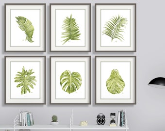 Impresiones de hojas tropicales Arte con hojas Pinturas con hojas Acuarelas con hojas Arte mural con hojas Impresiones botánicas Hojas de palma Helecho Higo Plátano Monstera Juego de 6