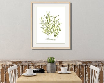 Rosemary Art Rosemary Print Rosemary Painting Rosemary Watercolor Rosemary Wall Art Rosemary Kitchen Art Kitchen Print Herb Art Herb Print