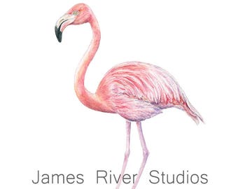 Flamingo Art Flamingo Painting Flamingo Print Flamingo Wall Art Flamingo Wall Decor Flamingo Decor Flamingo Poster Pink Flamingo Watercolor.