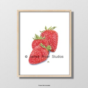 Strawberries Painting Strawberry Art Print. Strawberries Print Strawberry Watercolor Strawberry Fruit Watercolor Fruit Art Print Kitchen Art