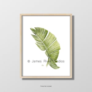 Banana Leaf Print Tropical Banana Leaf Art Botanical Banana Leaf Wall Art Banana Leaf Decor Green Banana Leaf Botanical Watercolor Art Print