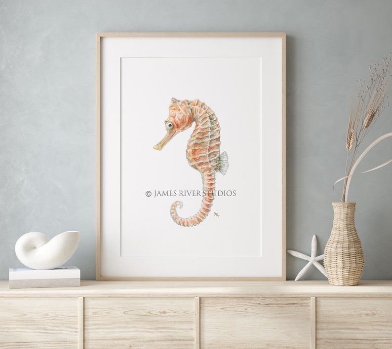 Op de afbeelding: Een aquarel van een zeepaardje met oranje en bruine strepen. Het zeepaardje kijkt naar links en heeft een witte achtergrond. Het schilderij is ingelijst in een licht houten lijst. De tekst "&copy; JAMES RIVER STUDIOS" staat in de rechterbenedenhoek van het schilderij.