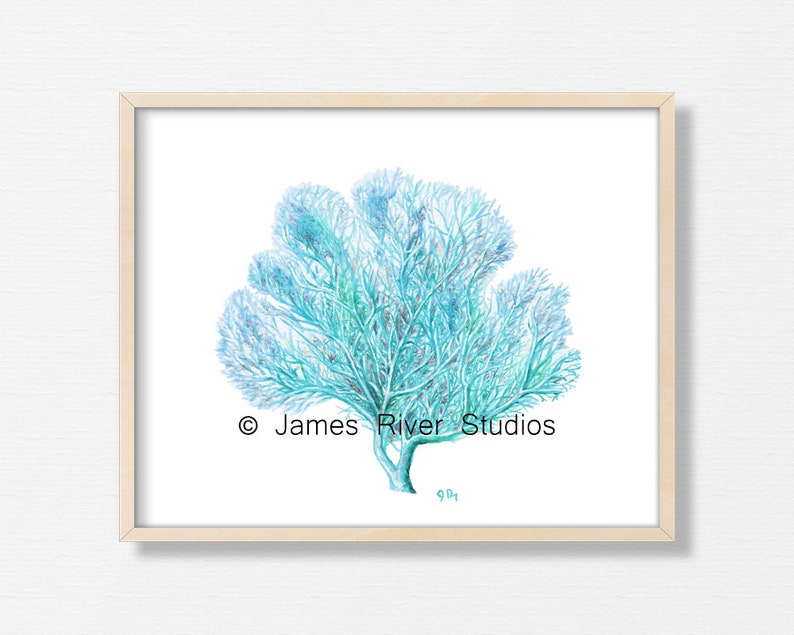 Blue Coral Art Blue Sea Coral Print Blue Ocean Coral Wall Art Etsy