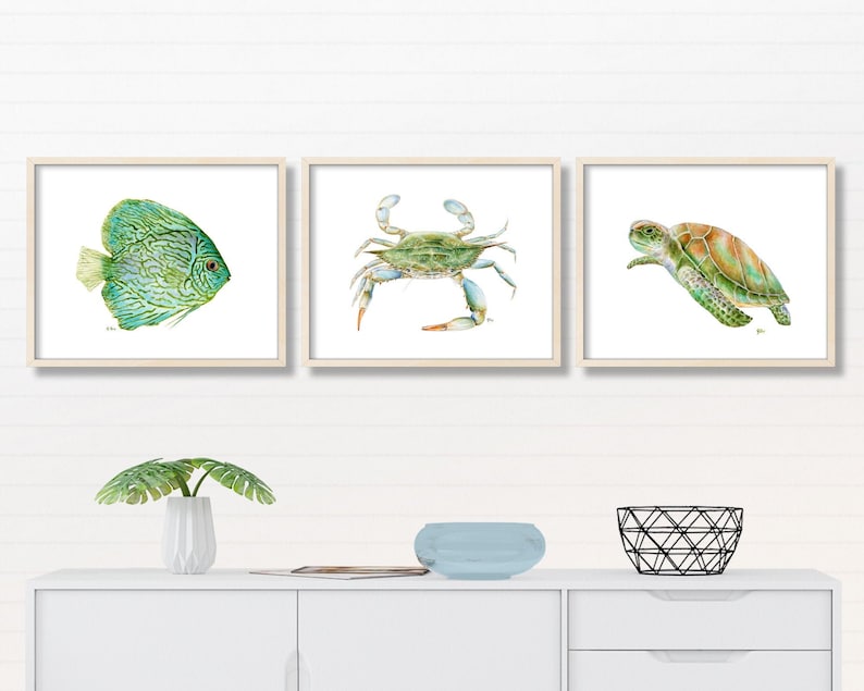 May include: Three framed watercolor paintings of sea life. The first painting features a green and blue fish. The second painting features a blue crab. The third painting features a green sea turtle.