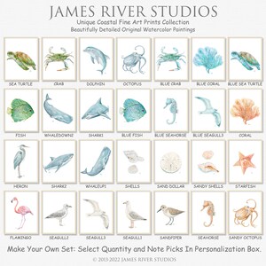 May include: A collection of 18 watercolor paintings featuring various sea creatures and coastal elements. The paintings are arranged in a grid with titles below each image. The titles include: Sea Turtle, Crab, Dolphin, Octopus, Blue Crab, Blue Coral, Blue Sea Turtle, Fish, Whaledown2, Sharki, Blue Fish, Blue Seahorse, Blue Seagull3, Coral, Heron, Shark2, Whaleup1, Shells, Sand Dollar, Sandy Shells, Starfish, Flamingo, Seagull2, Seagull3, Seagull1, Sandpiper, Seahorse, Sandy Octopus. The text "Make Your Own Set: Select Quantity and Note Picks In Personalization Box." is at the bottom of the image.