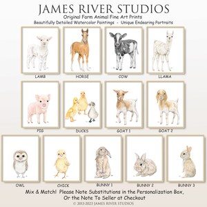 Puede incluir: Una colecci&oacute;n de pinturas de acuarela que representan varios animales de granja, incluyendo un cordero, un caballo, una vaca, una llama, un cerdo, patos, cabras, un b&uacute;ho, un pollito y conejos. Las pinturas est&aacute;n todas en un marco blanco con un borde dorado. El texto "Mix & Match! Please Note Substitutions in the Personalization Box, Or the Note To Seller at Checkout &copy;2013-2023 JAMES RIVER STUDIOS" est&aacute; en la parte inferior de la imagen.