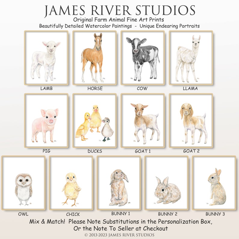 Puede incluir: Una colecci&oacute;n de pinturas de acuarela que representan varios animales de granja, incluyendo un cordero, un caballo, una vaca, una llama, un cerdo, patos, cabras, un b&uacute;ho, un pollito y conejos. Las pinturas est&aacute;n todas en un marco blanco con un borde dorado. El texto "Mix & Match! Please Note Substitutions in the Personalization Box, Or the Note To Seller at Checkout &copy;2013-2023 JAMES RIVER STUDIOS" est&aacute; en la parte inferior de la imagen.