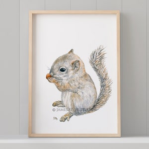 Woodland Nursery Decor, Woodland Nursery Prints, Baby Animal Prints for Nursery, Nursery Wall Art, Woodland Animals Nursery Art Set 6 Prints image 9