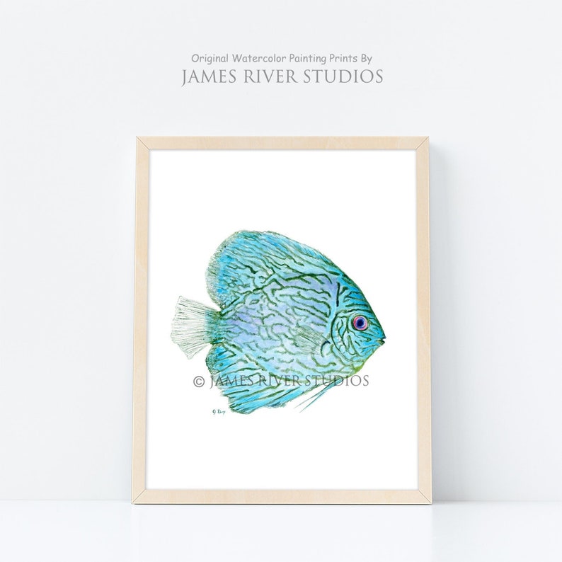 Blue Tropical Fish Art Tropical Fish Painting Blue Fish Print. Fish Watercolor Painting Blue Coastal Living Art Modern Beach Home Art Print image 1