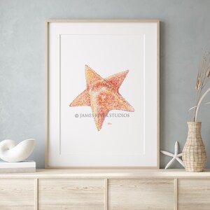 Op de afbeelding: Een ingelijst aquarel schilderij van een roze en oranje zeester op een witte achtergrond. Het schilderij is gesigneerd met "JAMES RIVER STUDIOS".
